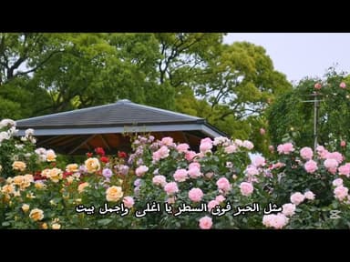 نهر من شوق