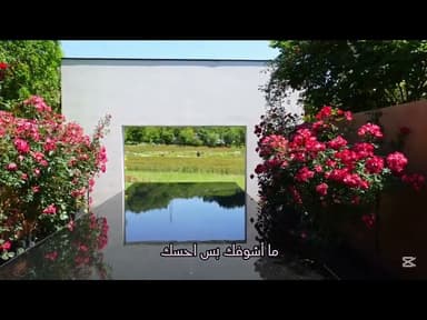 اصرخ اهواك