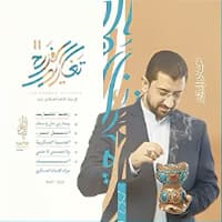 إصدار تغاريد الفرح الجزء 11-album