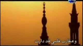 ياربي