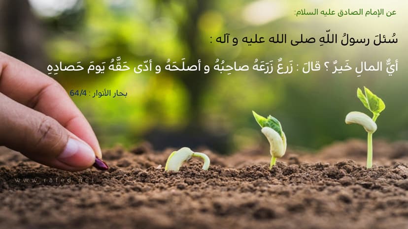  زَرعٌ زَرَعَهُ صاحِبُهُ و أصلَحَهُ