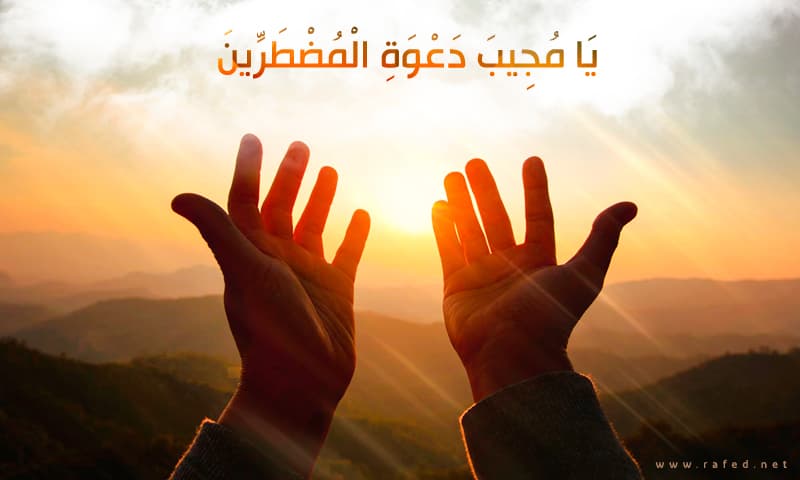 يَا مُجِيبَ دَعْوَةِ الْمُضْطَرِّينَ