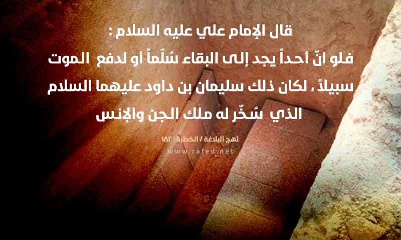 فلو أن احدا يجد الى البقاء سلما