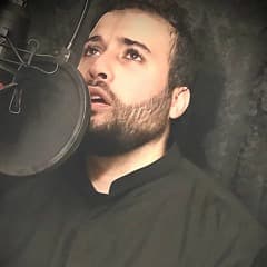أحمد العاملي