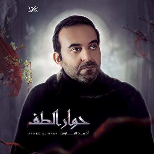 أحمد الباوي
