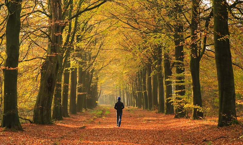  أهم المعلومات حول الاكتئاب الخريفي 