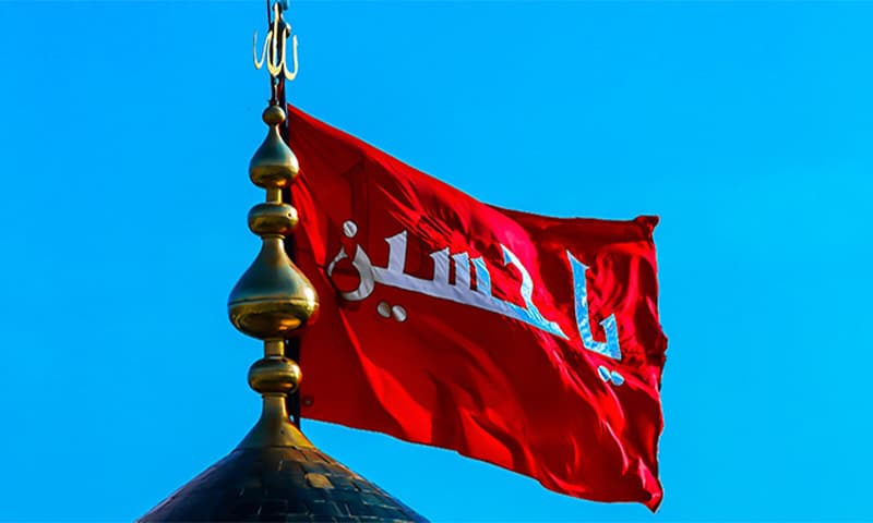 طلب الحسين (عليه السلام) للماء ليس استجداء