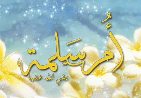 أمّ سلمة.. المرأة التي دافعت عن أهل البيت