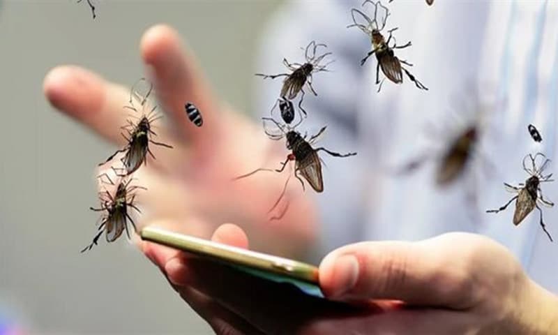 طرق طرد الذباب من المنزل في فصل الصيف