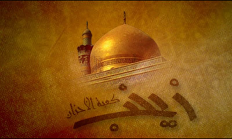 قتلت عقيلة بني هاشم زينب الكبرى عليها السلام